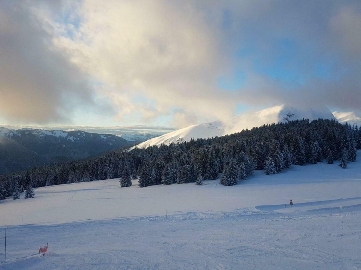 Praz-Du-Soleil F3 Les Gets Exterior foto